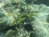 IMG_5558