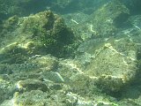 IMG_5564