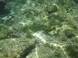 IMG_5566
