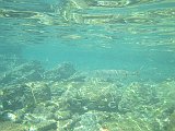IMG_5577