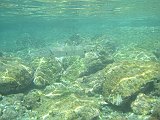 IMG_5579