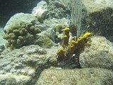 IMG_5585