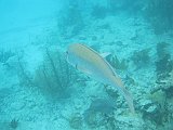 IMG_5737