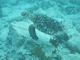 IMG_5750