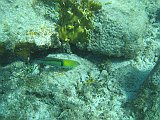 IMG_5781