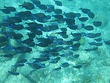 IMG_5787