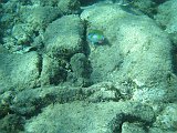 IMG_5799