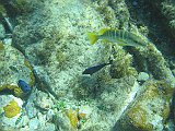 IMG_5807