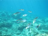 IMG_5818