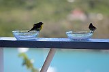 IMG_5864