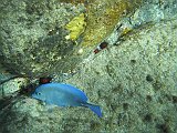 IMG_5885
