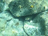 IMG_5906