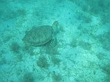 IMG_5916