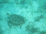 IMG_5918