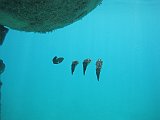 IMG_5925