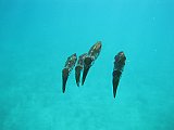 IMG_5928