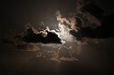 IMG_5935