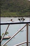 IMG_6004