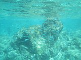 IMG_6025