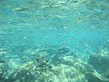 IMG_6032