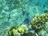IMG_6043
