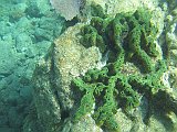 IMG_6062a
