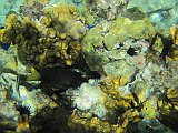 IMG_6066