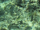IMG_6093