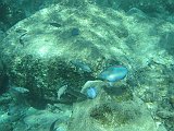 IMG_6100