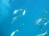 IMG_6118