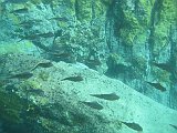 IMG_6299