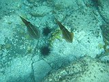 IMG_6302