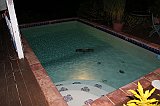 IMG_6324