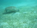 IMG_6336