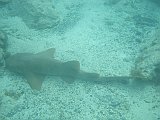 IMG_6357
