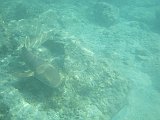 IMG_6365