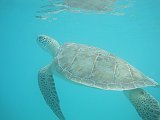 IMG_6474