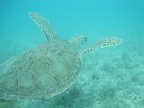 IMG_6479