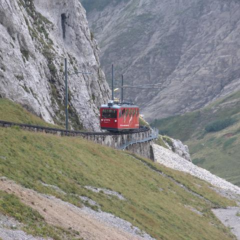 IMG 3817