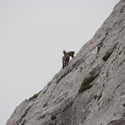 IMG 3843