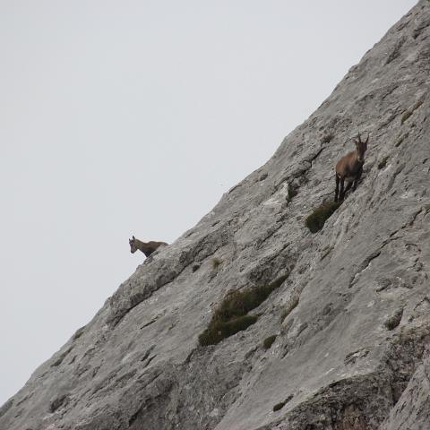 IMG 3852