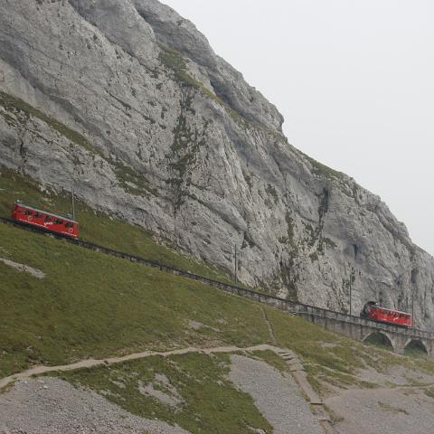 IMG 3903