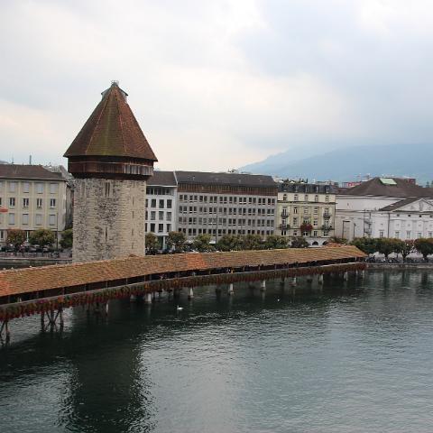 IMG 3914