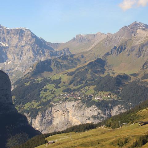 IMG 3934