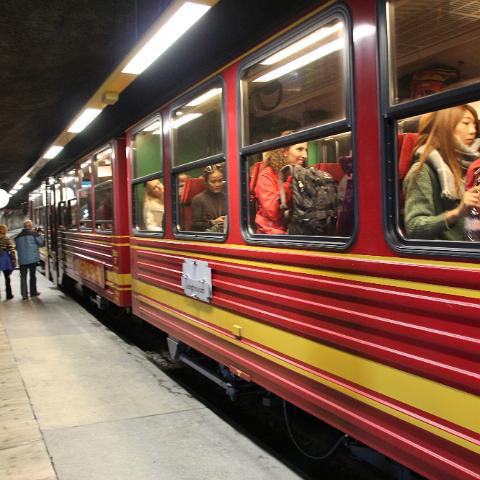 IMG 3944