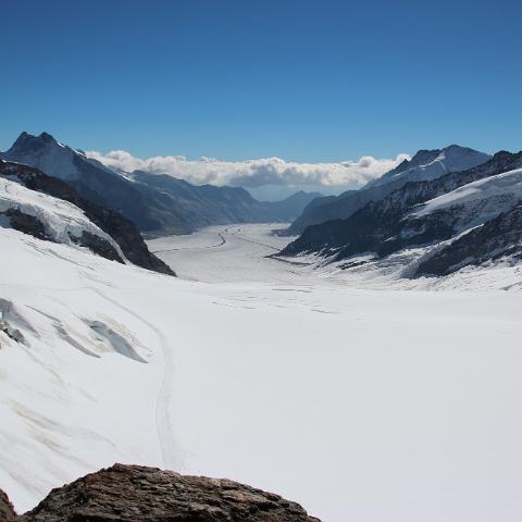 IMG 3954