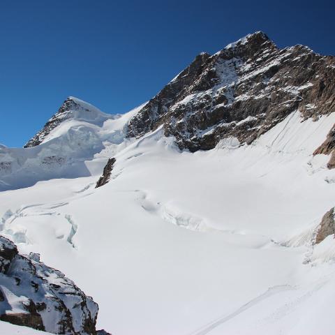 IMG 3963