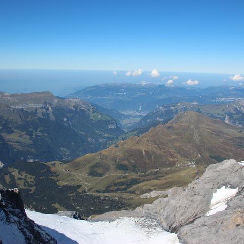 IMG 4009
