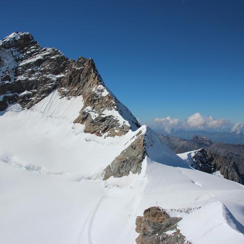 IMG 4039
