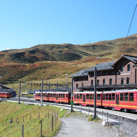 IMG 4069